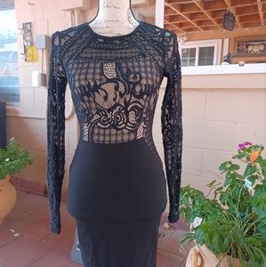Black Body Con mesh Dress